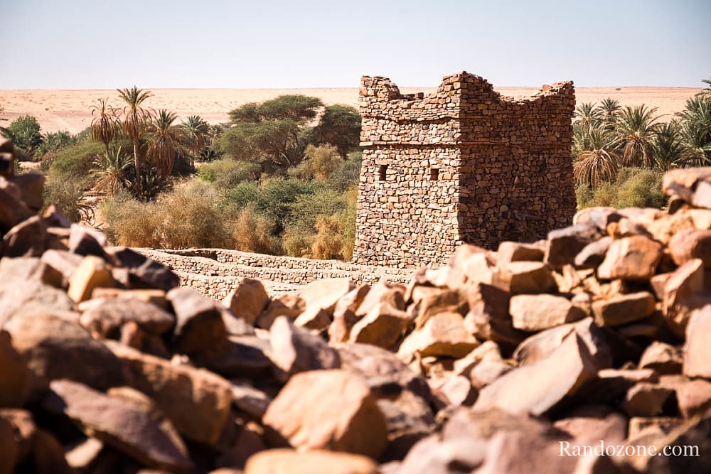 Trekking en Mauritanie : entre Ouadane et Chinguetti / Photo _MG_4926