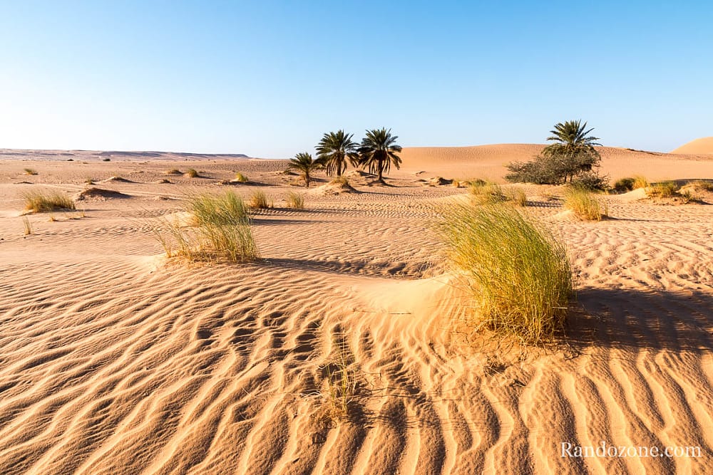 Trekking en Mauritanie : entre Ouadane et Chinguetti / Photo _MG_5050