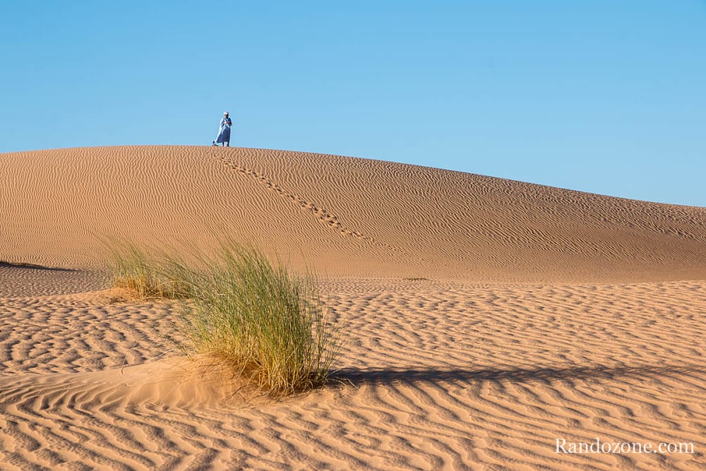 Trekking en Mauritanie : entre Ouadane et Chinguetti / Photo _MG_5070