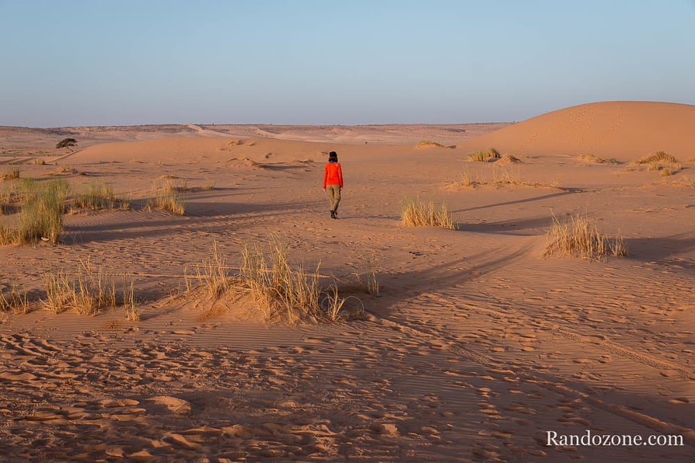 Trekking en Mauritanie : marcher dans le désert / Photo _MG_5229