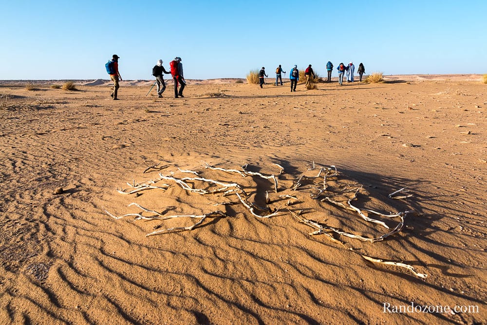 Trekking en Mauritanie : marcher dans le désert / Photo _MG_5283