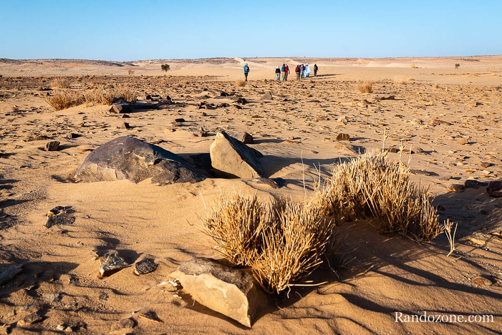 Trekking en Mauritanie : marcher dans le désert / Photo _MG_5293
