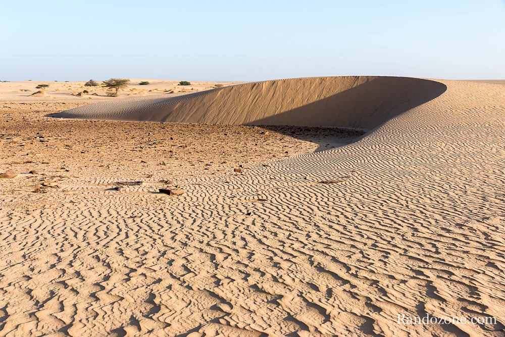 Trekking en Mauritanie : marcher dans le désert / Photo _MG_5294
