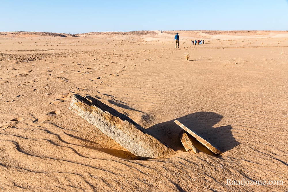 Trekking en Mauritanie : marcher dans le désert / Photo _MG_5304