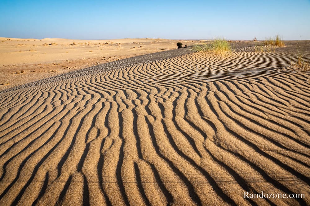 Trekking en Mauritanie : marcher dans le désert / Photo _MG_5312