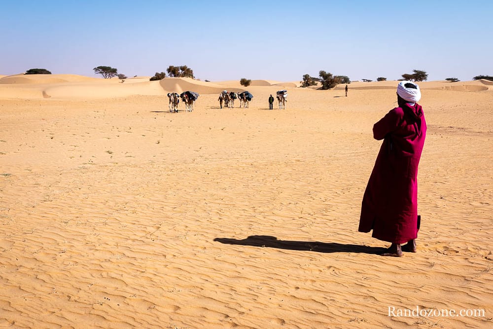 Trekking en Mauritanie : marcher dans le désert / Photo _MG_5523