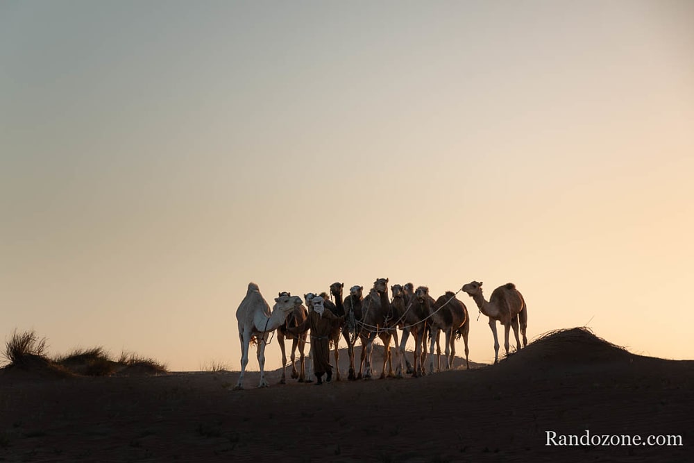 Randonne itinrante dans le dsert de Mauritanie : les derniers jours / Photo _MG_5656