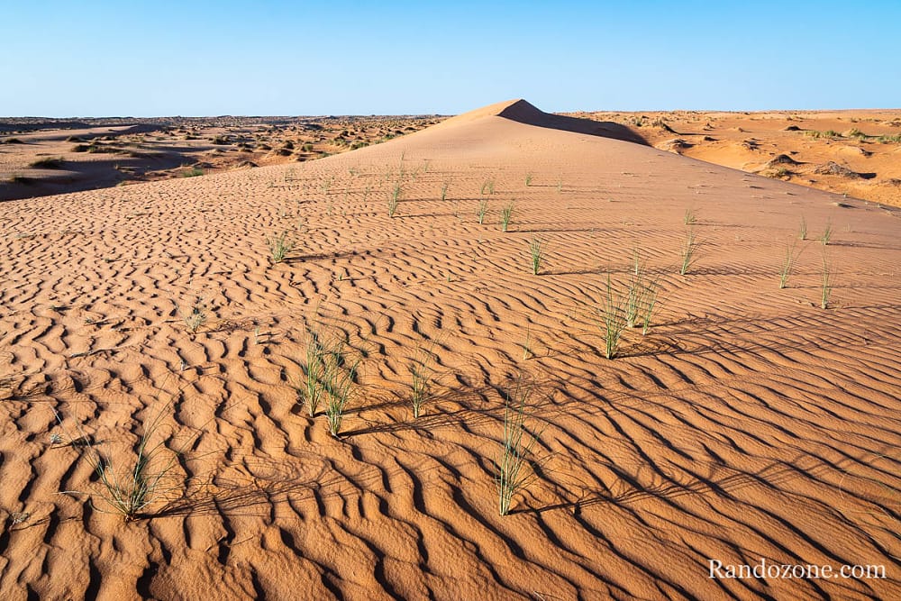 Randonne itinrante dans le dsert de Mauritanie : les derniers jours / Photo _MG_6121