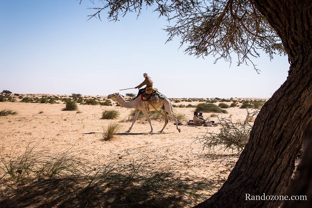 Randonne itinrante dans le dsert de Mauritanie : les derniers jours / Photo _MG_6247