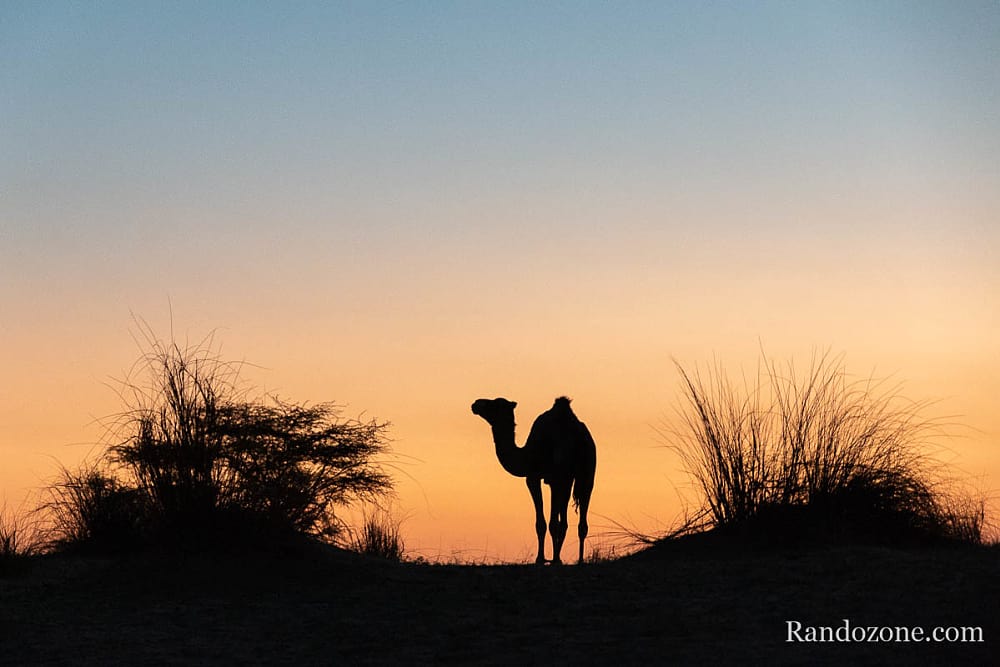Randonne itinrante dans le dsert de Mauritanie : les derniers jours / Photo _MG_6348