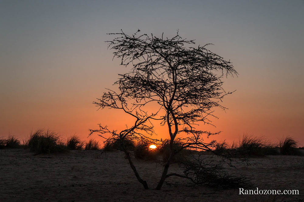 Randonne itinrante dans le dsert de Mauritanie : les derniers jours / Photo _MG_6354