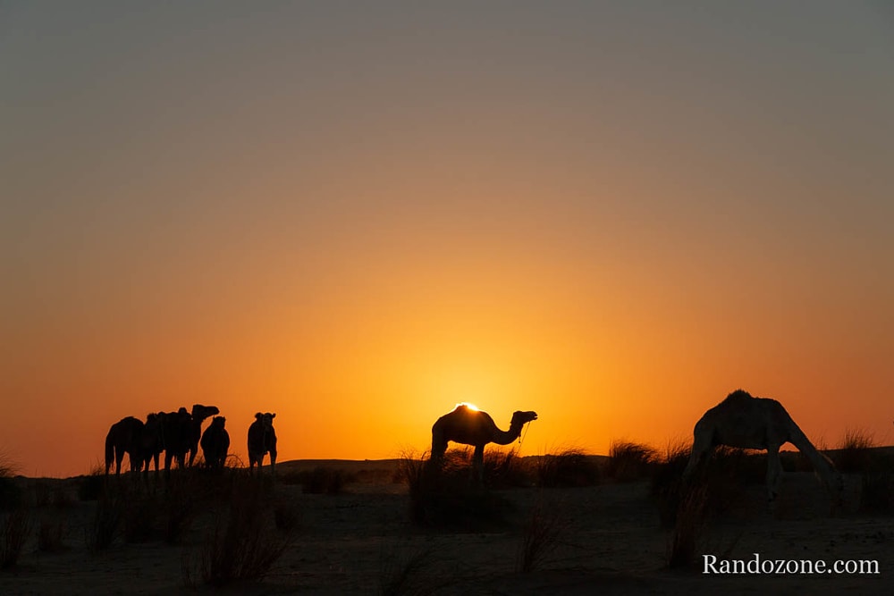 Randonne itinrante dans le dsert de Mauritanie : les derniers jours / Photo _MG_6358