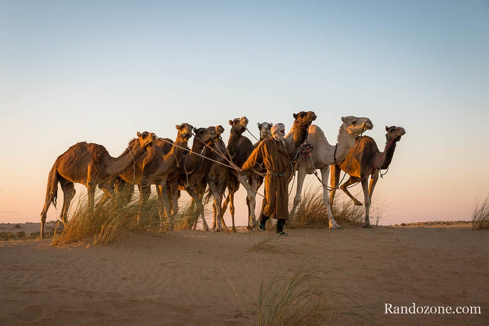 Randonne itinrante dans le dsert de Mauritanie : les derniers jours / Photo _MG_6365