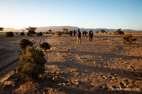 Trekking en Mauritanie : entre Ouadane et Chinguetti / Photo _MG_4836