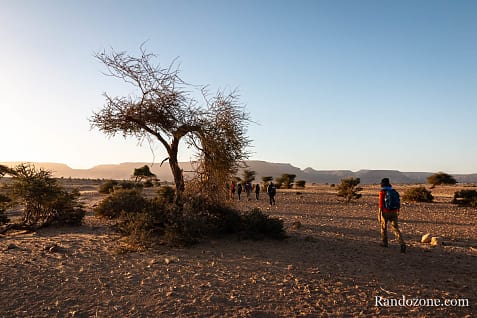 Trekking en Mauritanie : entre Ouadane et Chinguetti / Photo _MG_4839