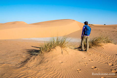 Trekking en Mauritanie : entre Ouadane et Chinguetti / Photo _MG_5021