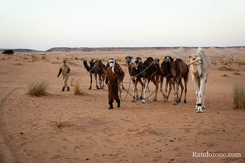 Trekking en Mauritanie : marcher dans le désert / Photo _MG_5202