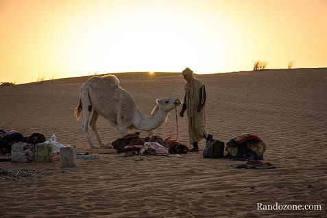 Trekking en Mauritanie : marcher dans le désert / Photo _MG_5216