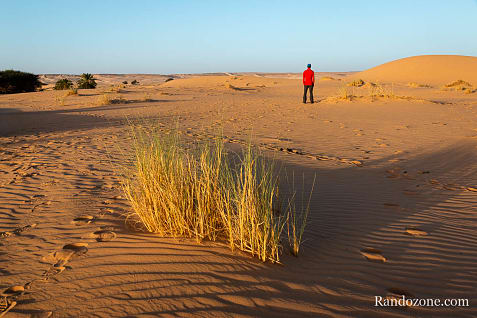 Trekking en Mauritanie : marcher dans le désert / Photo _MG_5236