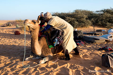 Trekking en Mauritanie : marcher dans le désert / Photo _MG_5247
