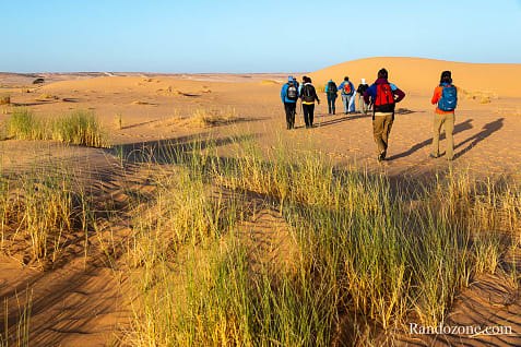 Trekking en Mauritanie : marcher dans le désert / Photo _MG_5262