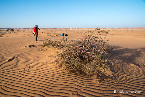 Trekking en Mauritanie : marcher dans le désert / Photo _MG_5274