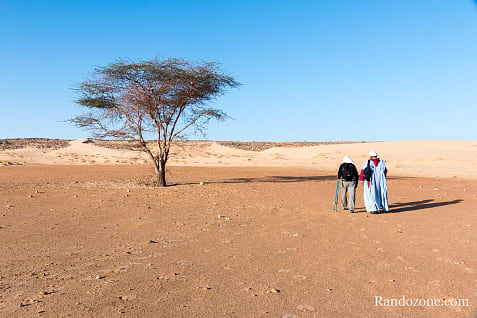 Trekking en Mauritanie : marcher dans le désert / Photo _MG_5323
