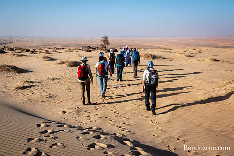 Trekking en Mauritanie : marcher dans le désert / Photo _MG_5361