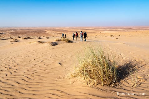 Trekking en Mauritanie : marcher dans le désert / Photo _MG_5367
