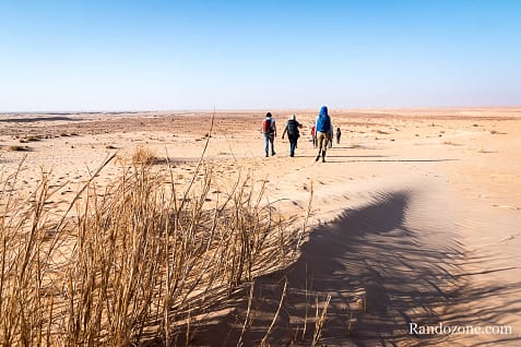 Trekking en Mauritanie : marcher dans le désert / Photo _MG_5371