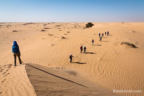 Trekking en Mauritanie : marcher dans le désert / Photo _MG_5476