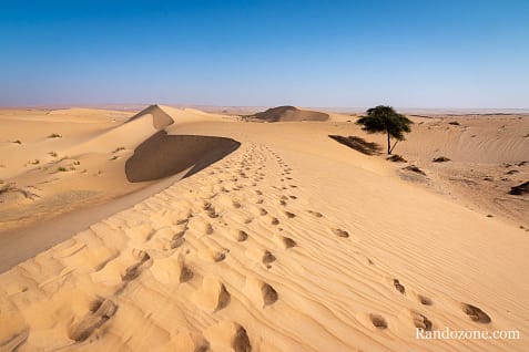 Trekking en Mauritanie : marcher dans le désert / Photo _MG_5484