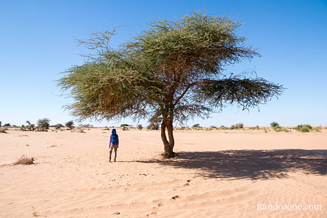 Randonne itinrante dans le dsert de Mauritanie : les derniers jours / Photo _MG_5888