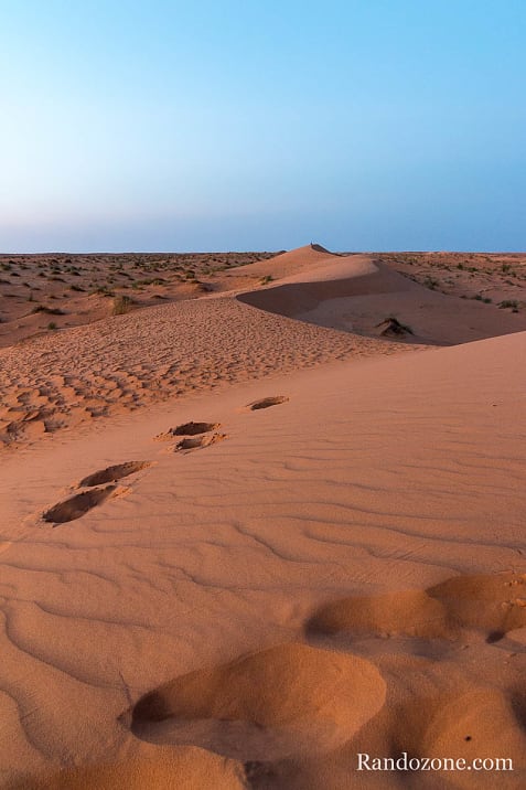 Randonne itinrante dans le dsert de Mauritanie : les derniers jours / Photo _MG_6021