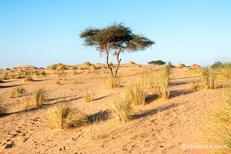 Randonne itinrante dans le dsert de Mauritanie : les derniers jours / Photo _MG_6388