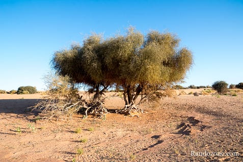 Randonne itinrante dans le dsert de Mauritanie : les derniers jours / Photo _MG_6401