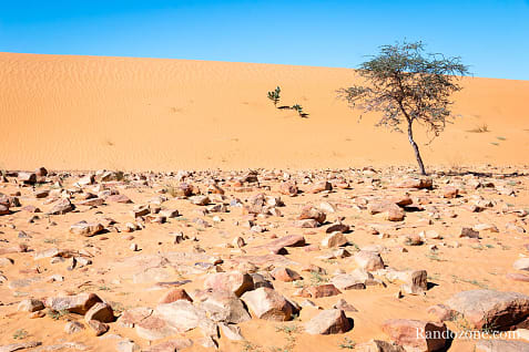Randonne itinrante dans le dsert de Mauritanie : les derniers jours / Photo _MG_6585