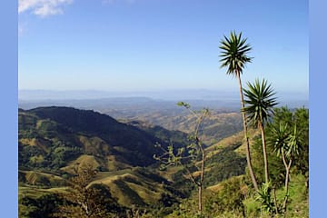 Monteverde Road