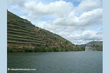Valle du Douro