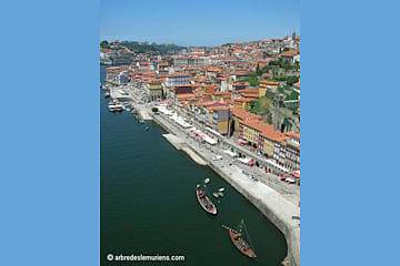 Quais de Porto