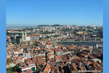 Porto vu d'en haut