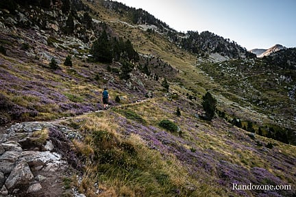 Randonnée en boucle lacs de Madamètre Il y a de la bruyère partout