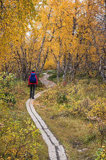 Randonnée Abisko : lac Vuolip Njáhkajavri en boucle