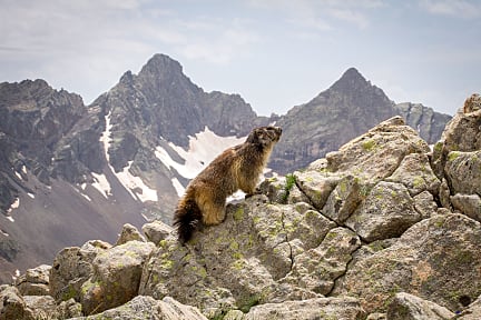 Randonn&eacute;e au Gavizo-Cristail (Pyr&eacute;n&eacute;es) depuis la maison du Parc
