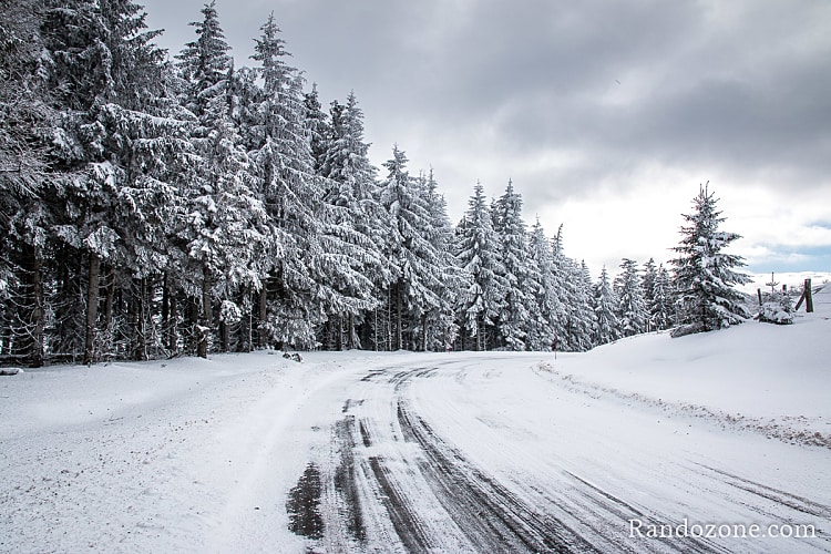Conseils pratiques pour la randonnée en raquettes à neige