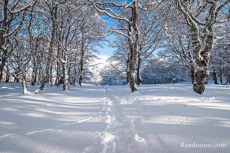 Randonnée dans la neige sur le plateau de l'Aubrac