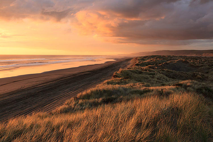 Randonnée et trekking en Nouvelle Zélande : Port Waikato