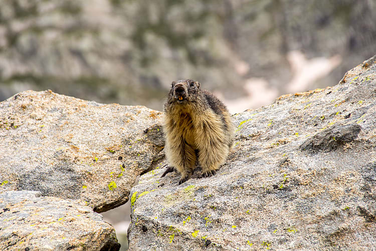 Randonn&eacute;e au Gavizo-Cristail (Pyr&eacute;n&eacute;es) depuis la maison du Parc