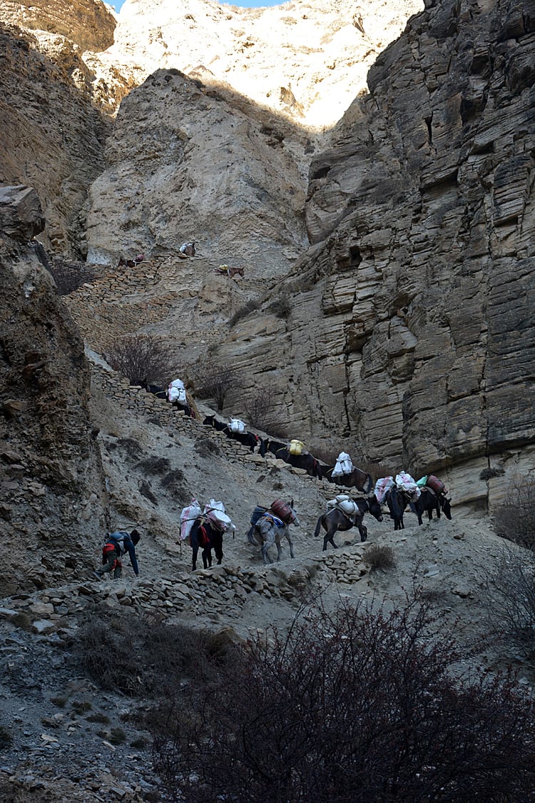 Trek dans la vallée secrète de Naar Phu au Népal Trek dans la vallée secrète de Naar Phu au Népal