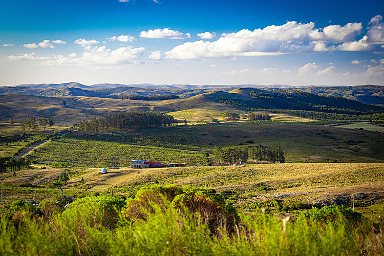 Guide de la randonnée et du trekking en Uruguay